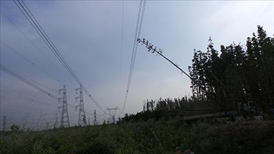Thông tin khắc phục sự cố hệ thống điện miền Nam chiều ngày 22/5/2013