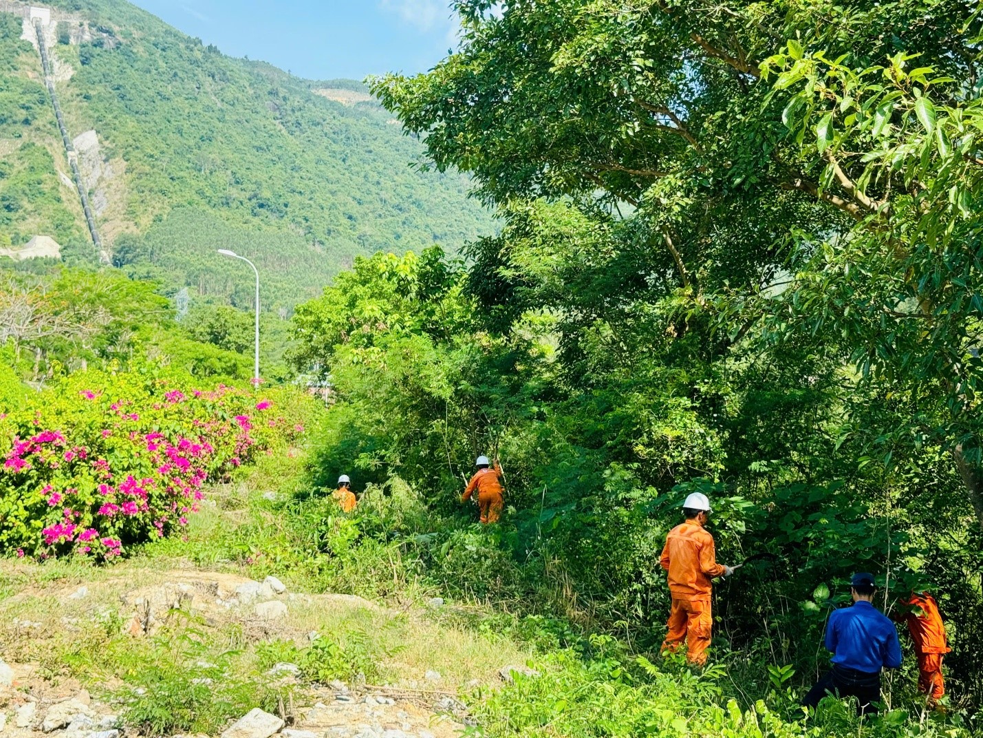 Several workers in orange vests are working on a construction site amidst a lush, green, and partially forested landscape.AI-generated content may be incorrect.